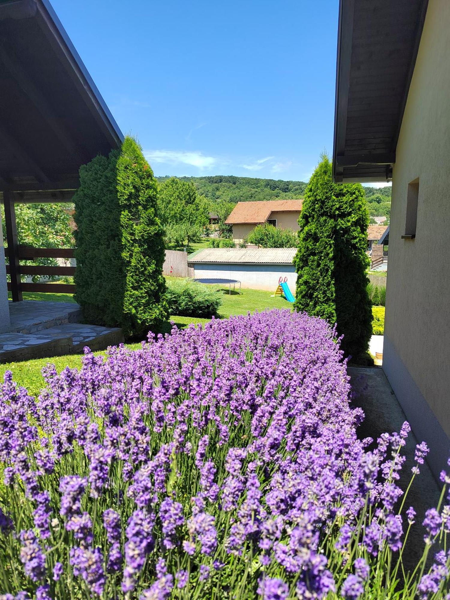 Garden 022 Hotel Vrdnik Buitenkant foto